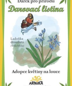 Arnika Darovací listina - Adopce květiny na louce - Ladoňka dvoulistá