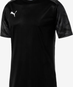 Cup Training Jersey Triko Puma✅Puma