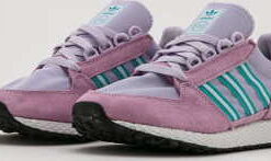 adidas Originals Forest Grove W cleil / dshgry /hiraqu EUR 41 1/3