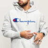 Champion Hooded Sweatshhirt melange šedá