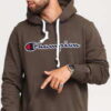 Champion Script Logo Hooded Sweatshirt tmavě olivová M