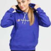 Champion Script Logo Hooded Sweatshirt fialová M