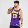 Jordan LA Lakers Swgmn Jersey Stmt 2 fialový / žlutý / bílý XXL