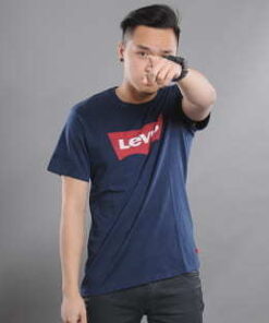 Levi's ® Graphic Setin Neck HM navy XS