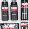 SNEAKY Premium Shoe Care Kit