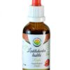 Salvia Paradise Lesklokorka lesklá - Reishi - tinktura bez alkoholu (50 ml)