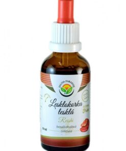 Salvia Paradise Lesklokorka lesklá - Reishi - tinktura bez alkoholu (50 ml)