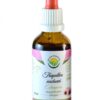 Salvia Paradise Echinacea - tinktura bez alkoholu (50 ml) - podporuje přirozenou imunitu