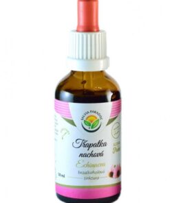 Salvia Paradise Echinacea - tinktura bez alkoholu (50 ml) - podporuje přirozenou imunitu