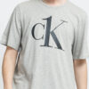 Calvin Klein CK ONE SS Crew Neck C/O melange šedé