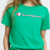 Champion Vintage Script Logo Crew Neck T-Shirt zelené