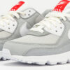 Nike W Air Max 90 lt smoke grey / white