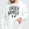 Under Armour Rival Terry Collegiate Hoody bílá