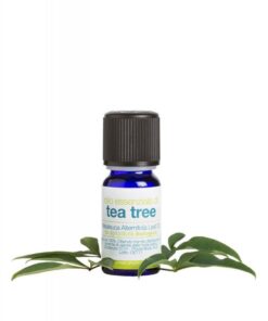 laSaponaria Éterický olej - BIO tea tree (10 ml)